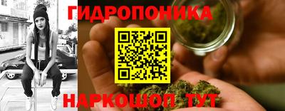 крисы Краснознаменск