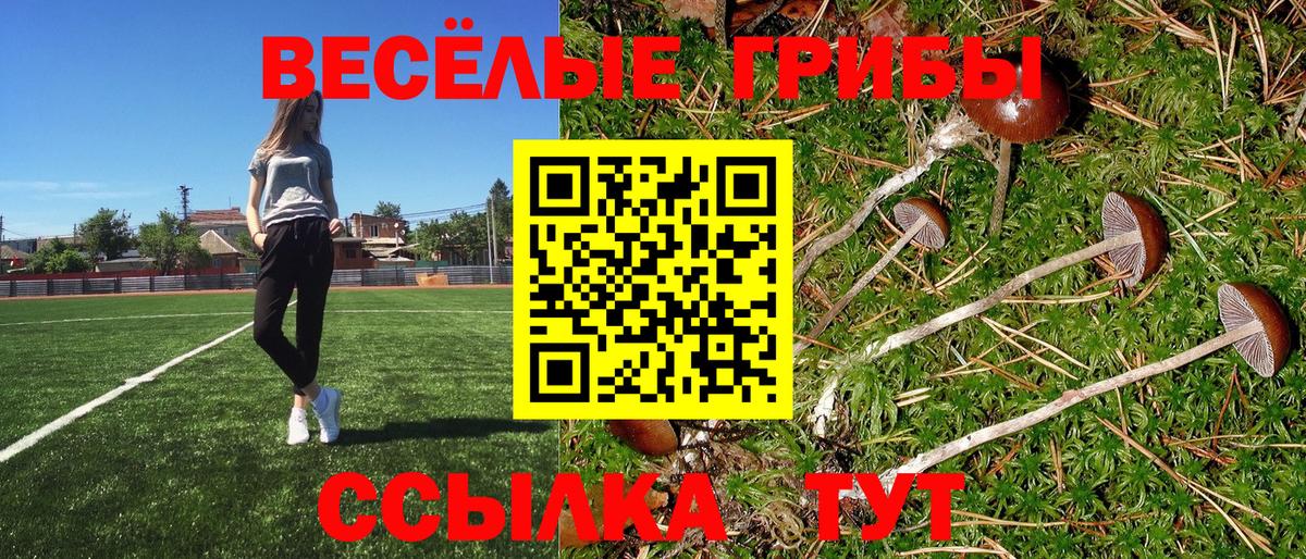 купить закладку  Псилоцибиновые грибы Cubensis  Вход с VPN  Галлюциногенные грибы Cubensis  Калач-на-Дону 